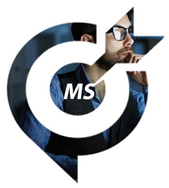 MS website designers